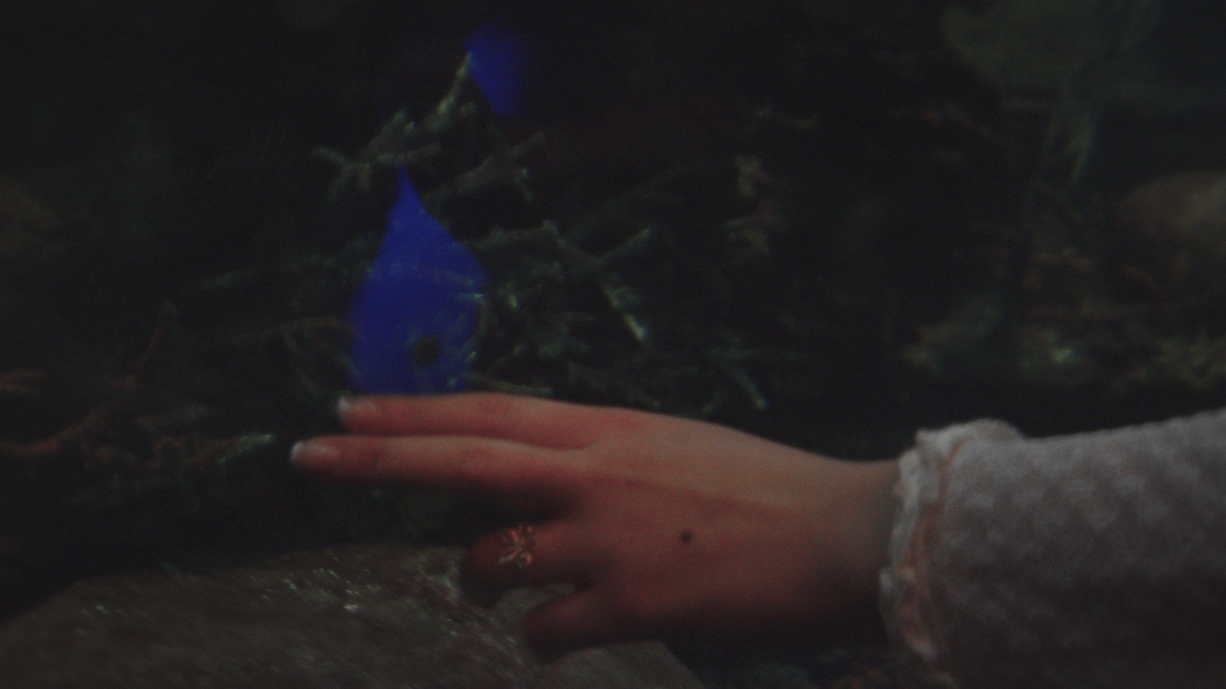 A person's hand touching a black and gold fish with blue on its face, in a dark area.