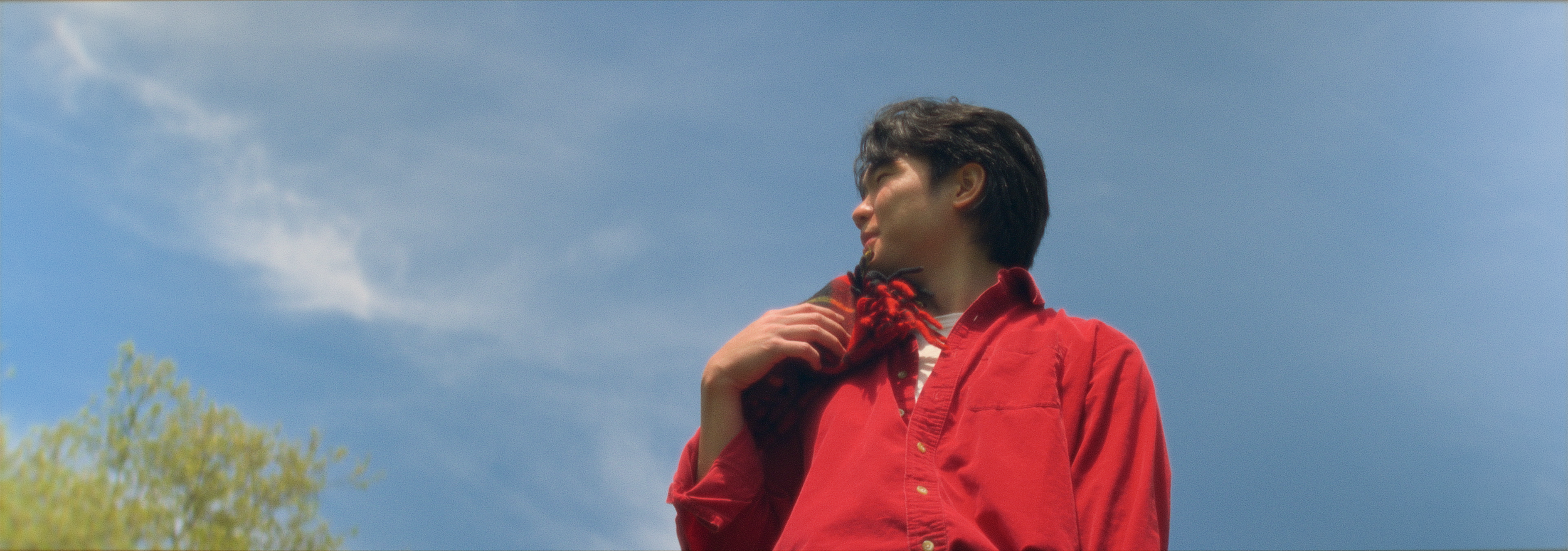A man in a red shirt holding a plaid blanket against a blue sky with clouds.
