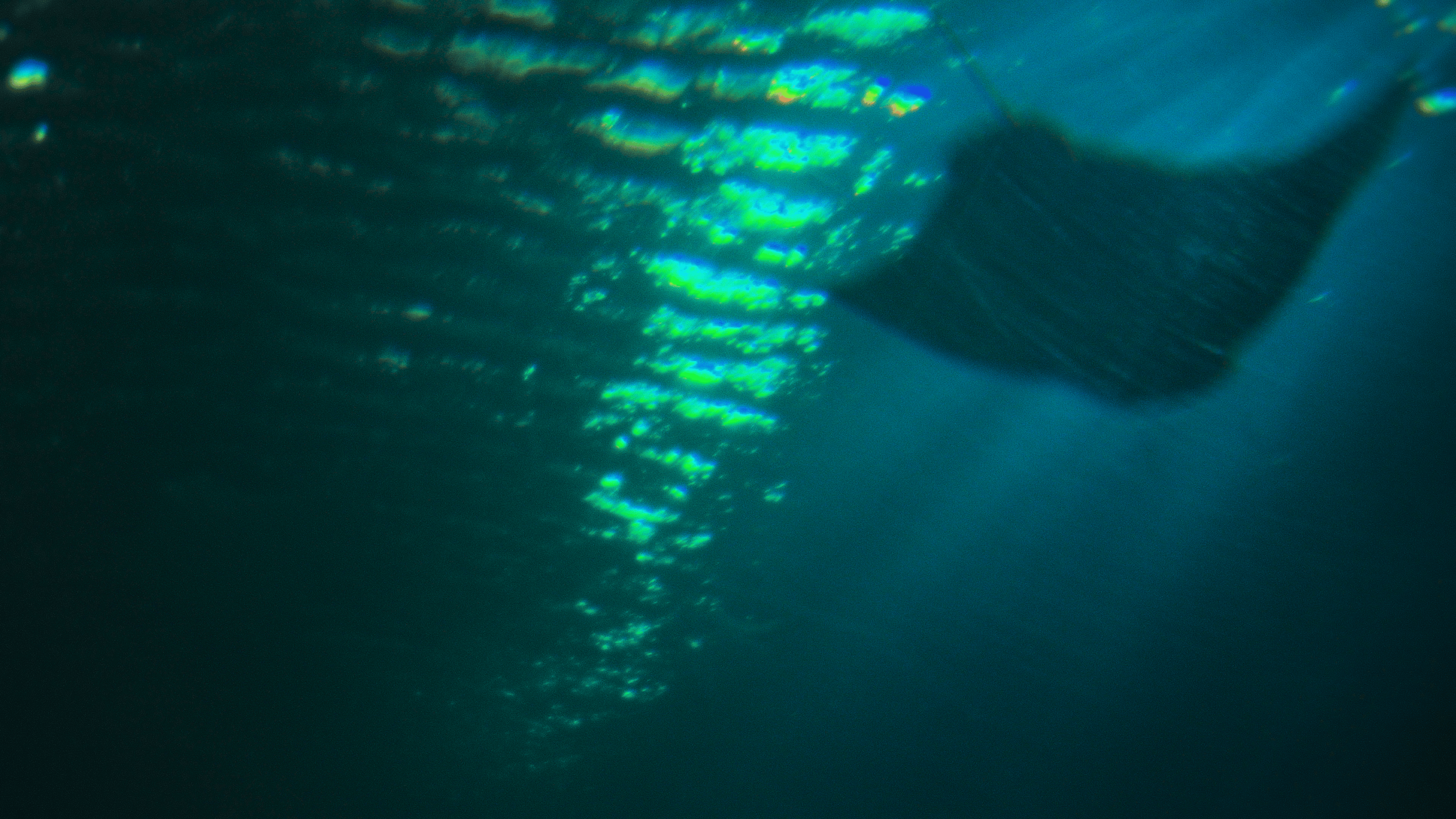Close-up of an iridescent stingray showing vibrant green and blue colors with intricate patterns.