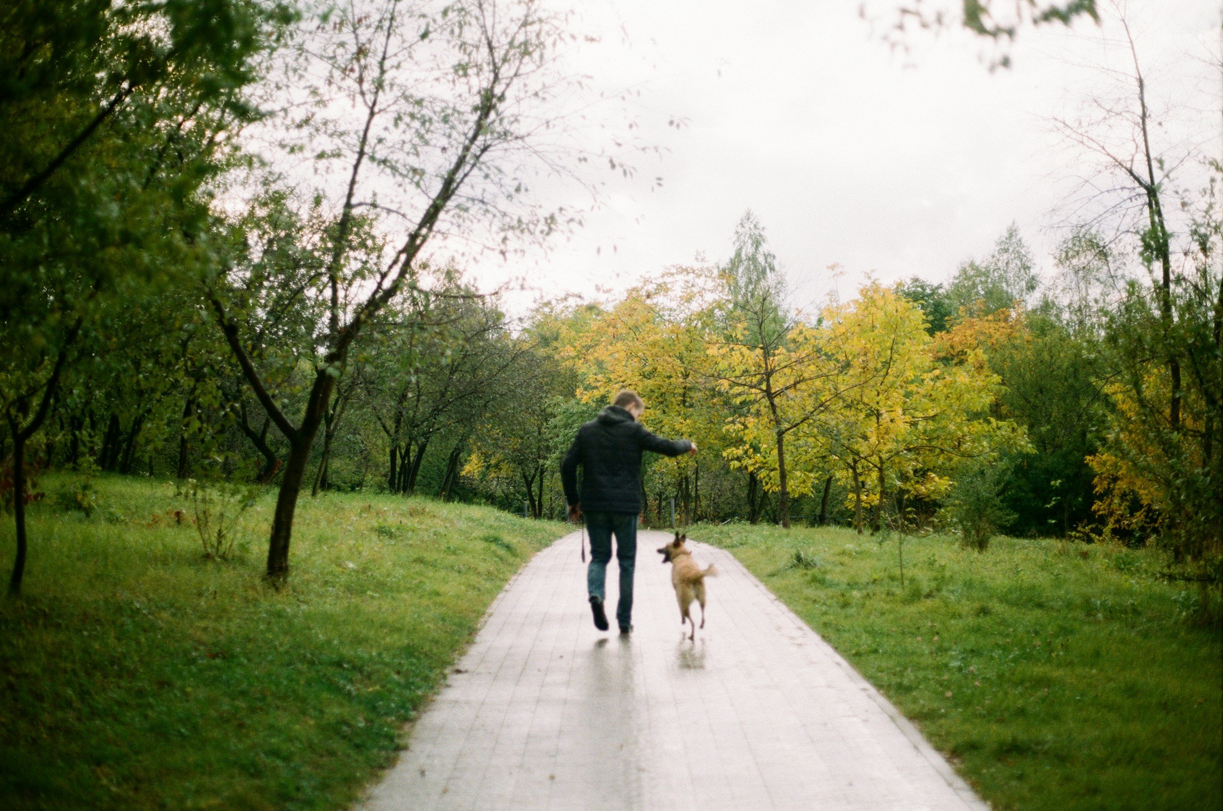 Person walking a dog on a park path surrounded by trees with green and yellow leaves during autumn.