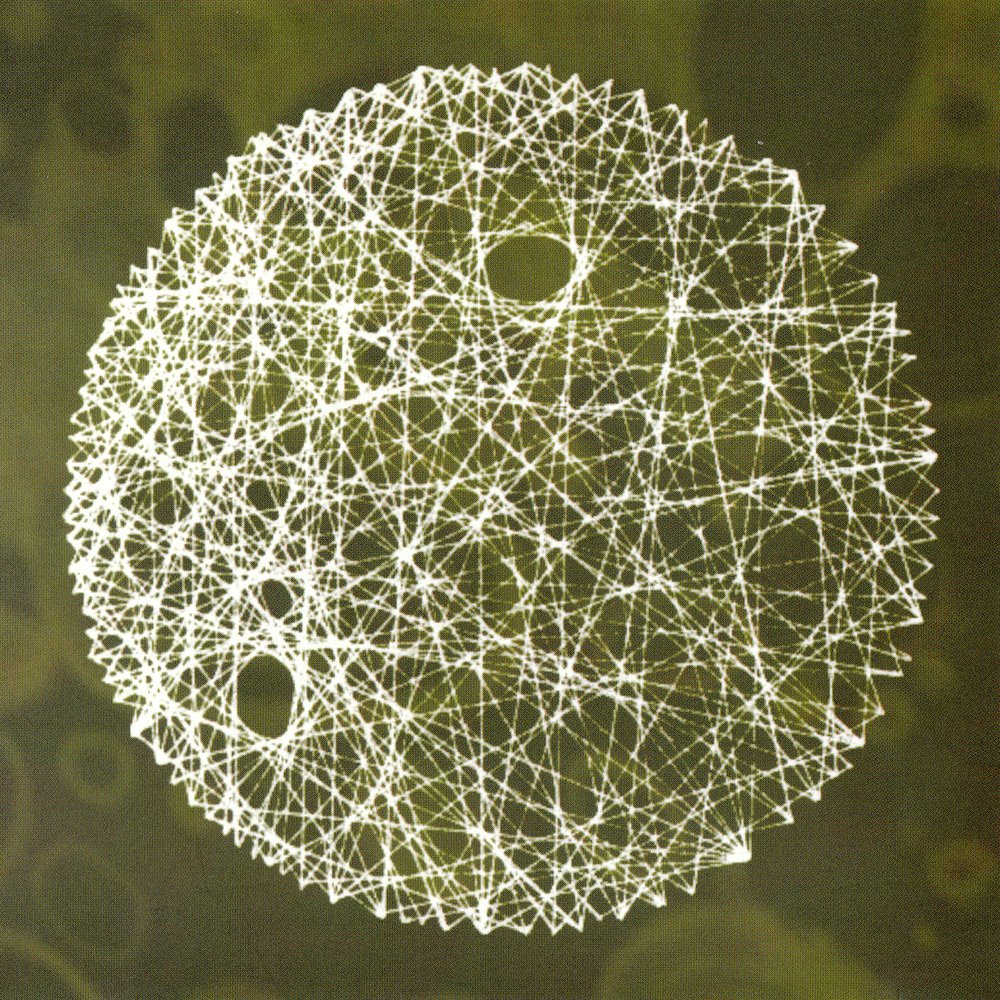 stria (with jgrzinich)