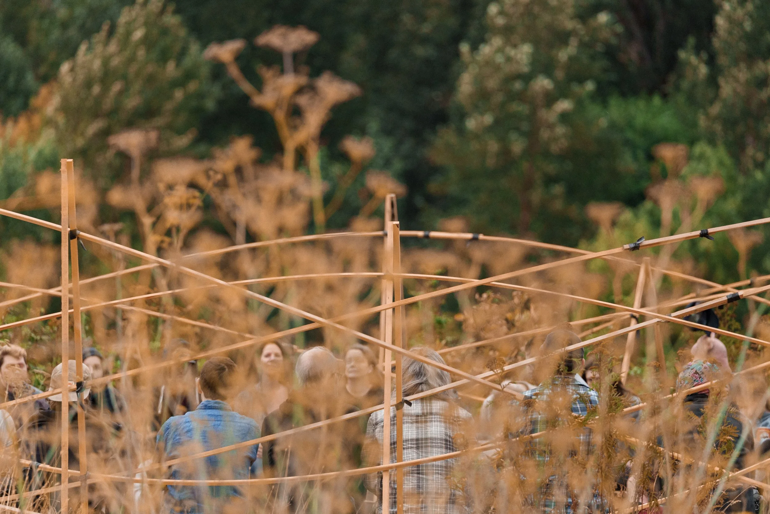 Behind blurry dry wildflowers, arcs of bent wood in the installation To The River by Philip Krohn and AuxArt with a sound installation by Seth Nehil.