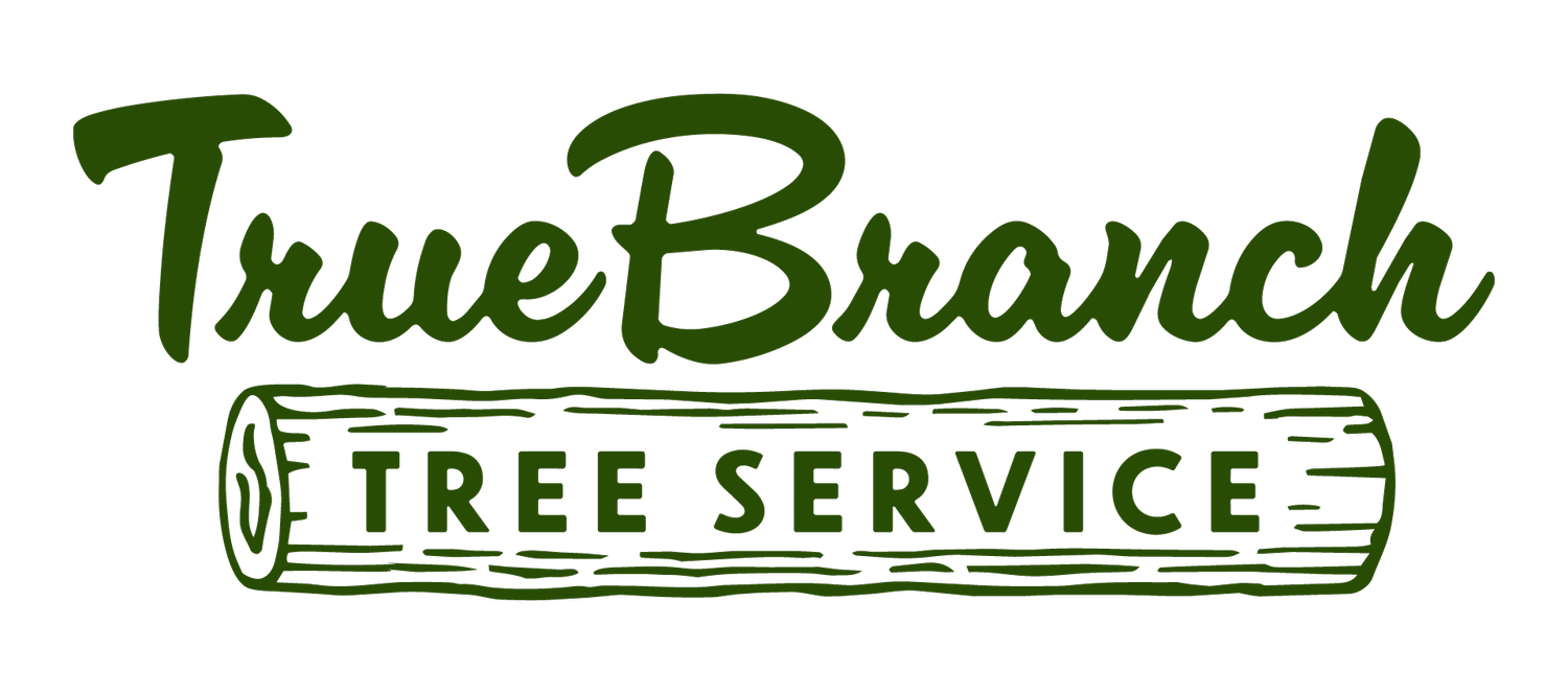 TrueBranch Tree Services