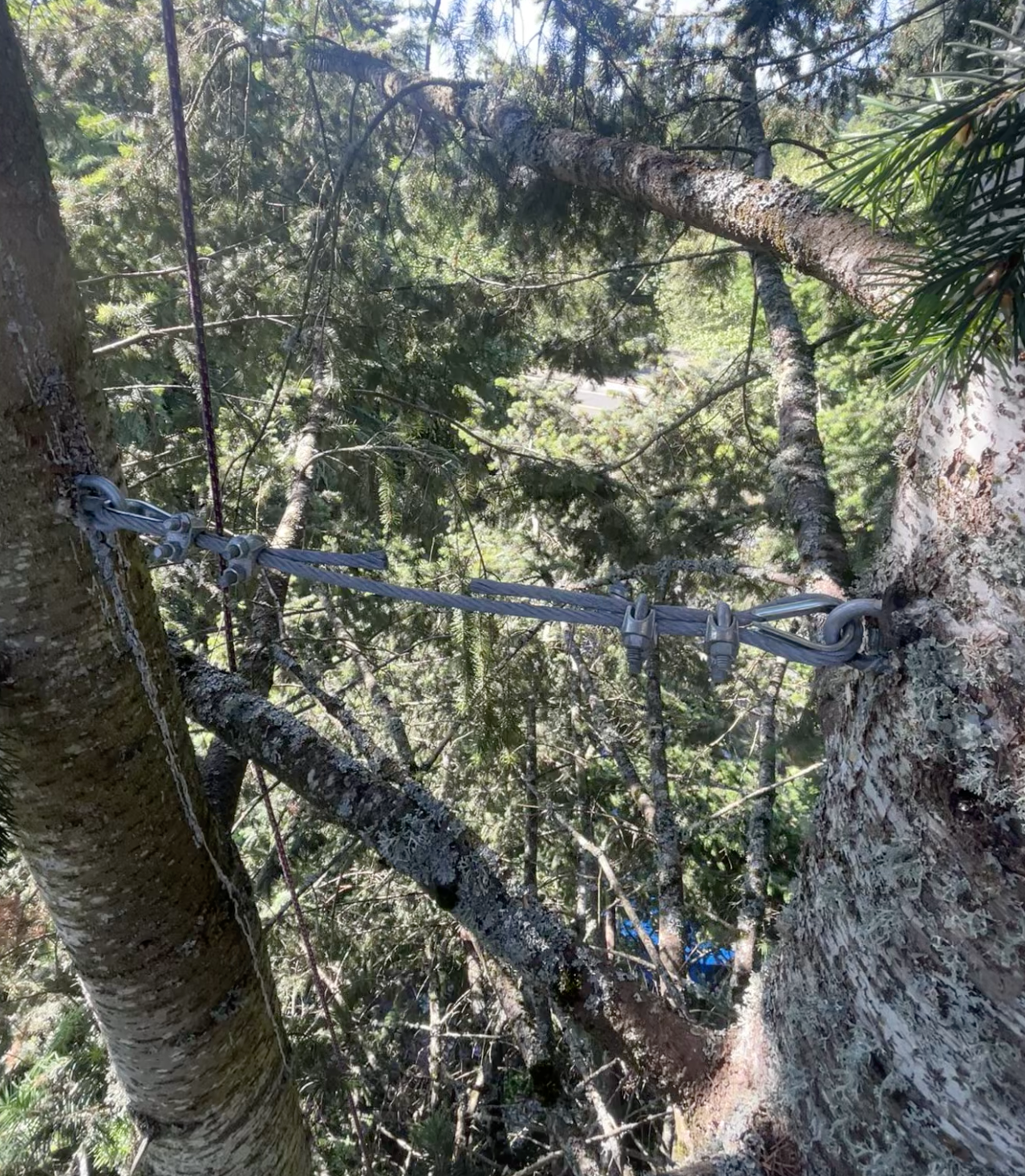Cabling and Bracing