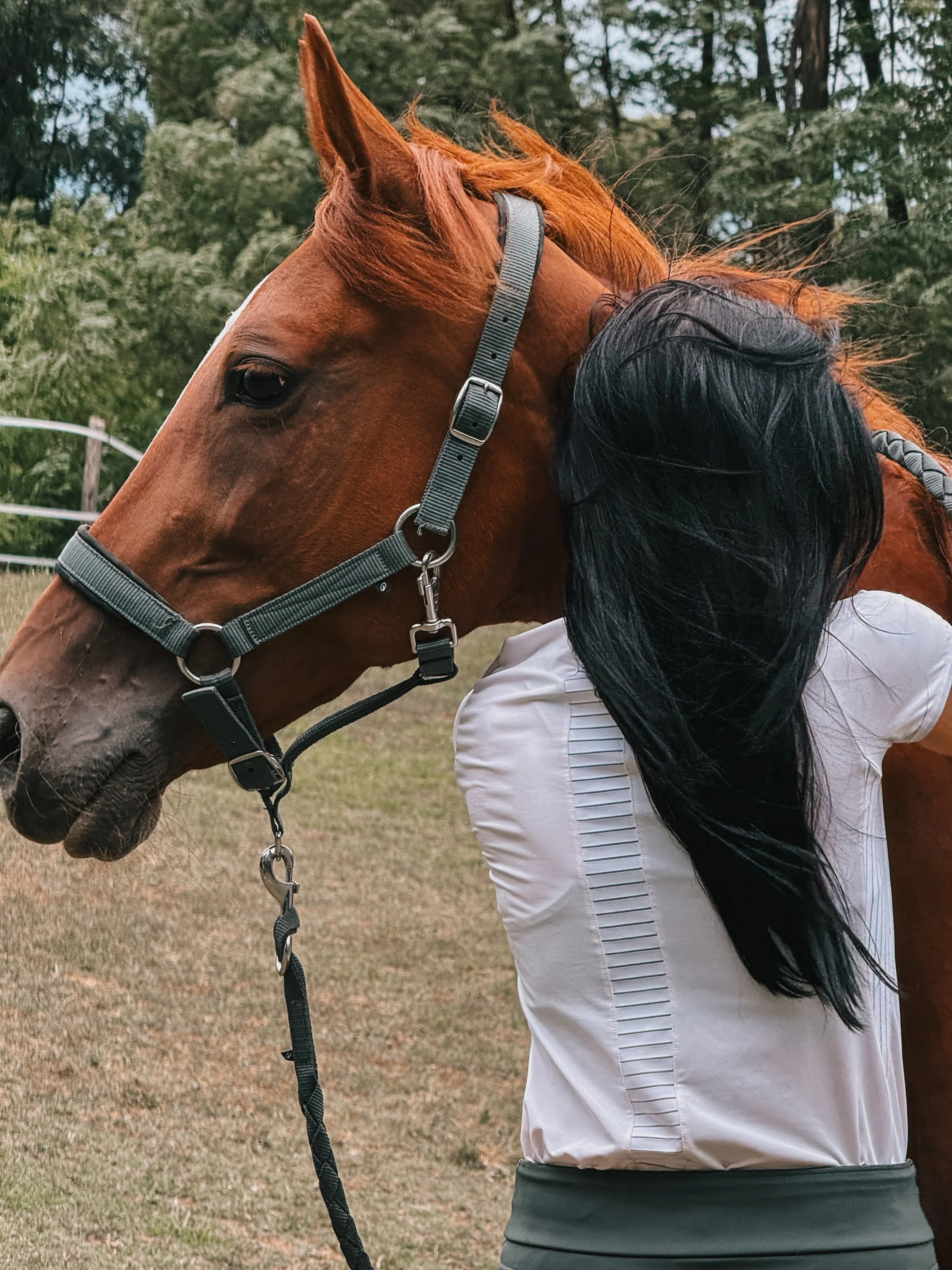 Un cavallo marrone con criniera nera si avvicina a una donna con capelli lunghi e neri che lo accarezza, in un ambiente naturale con alberi e prato.