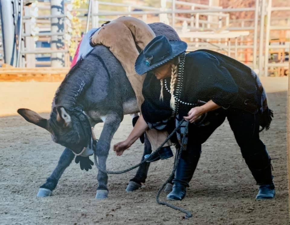 A woman dressed in cowboy attire with a hat and braid training a bucking cow in an outdoor arena.