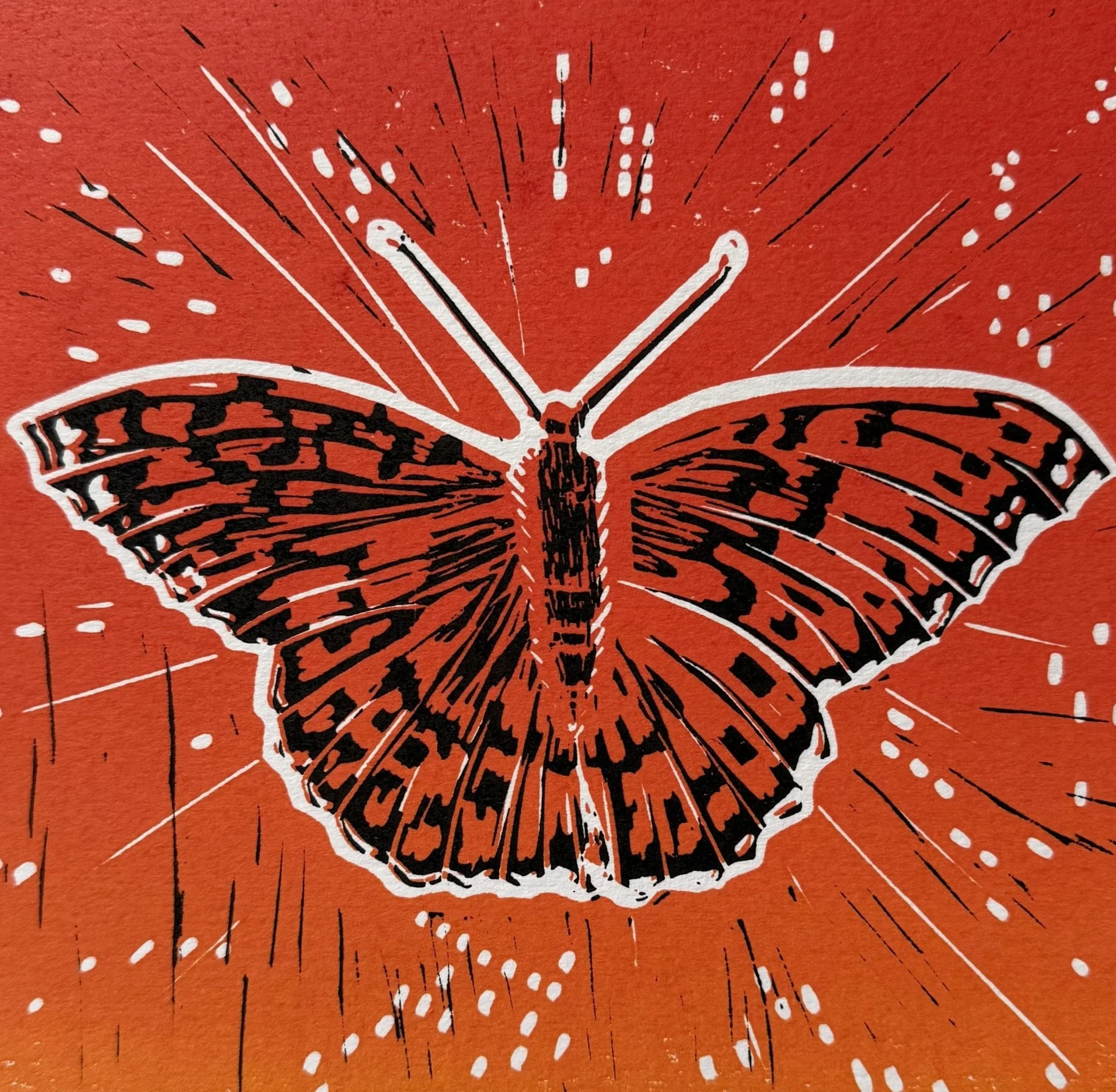 butterfly_print_tight.jpg
