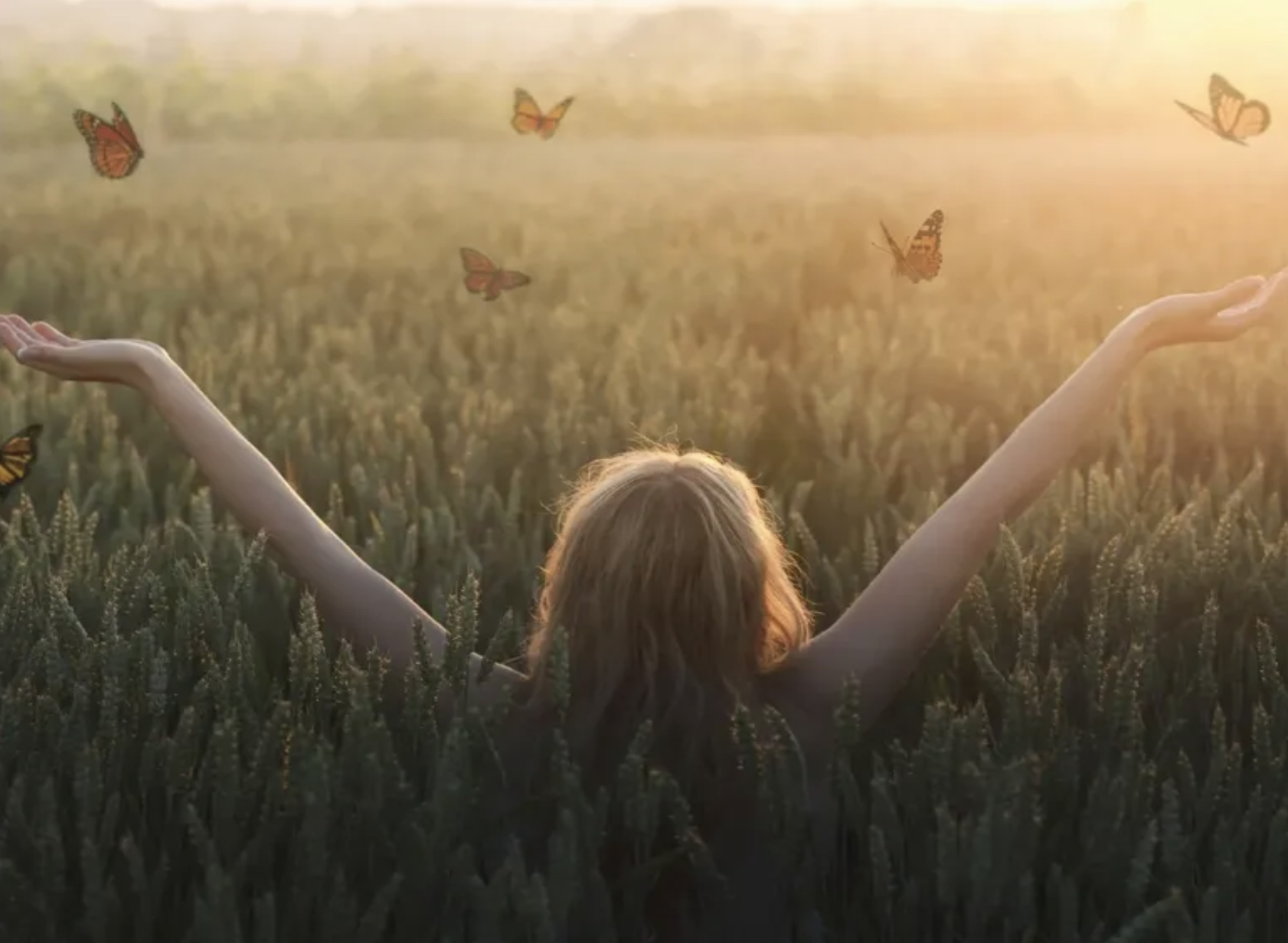 A person with long hair standing in a wheat field during sunset, with arms raised and butterflies flying around, depicting feelings of transformation, freedom, and radiance.