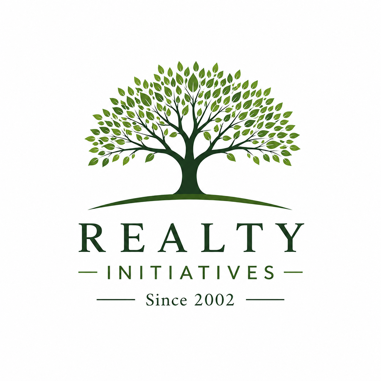 Realty Initiatives LLC