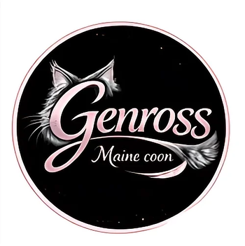 Logo avec un chat anthropomorphe, le texte 'Genross Maine coon' en rose sur fond noir.