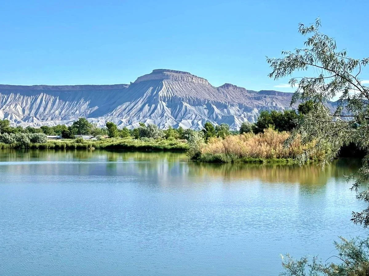 A body of water in the foreground with green trees and bushes along the shoreline. Mountain range in the background with a flat-topped mountain under a clear blue sky.