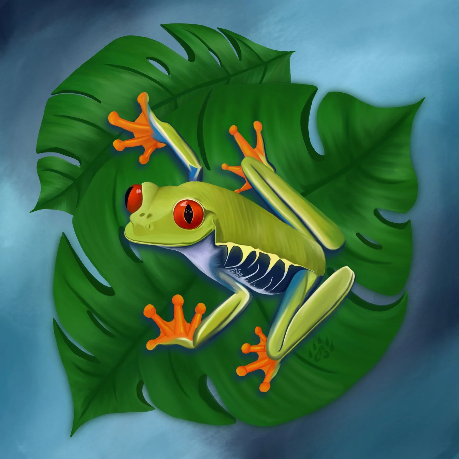 Illustration of a green tree frog with orange toes on large green leaves surrounded by blue background.
