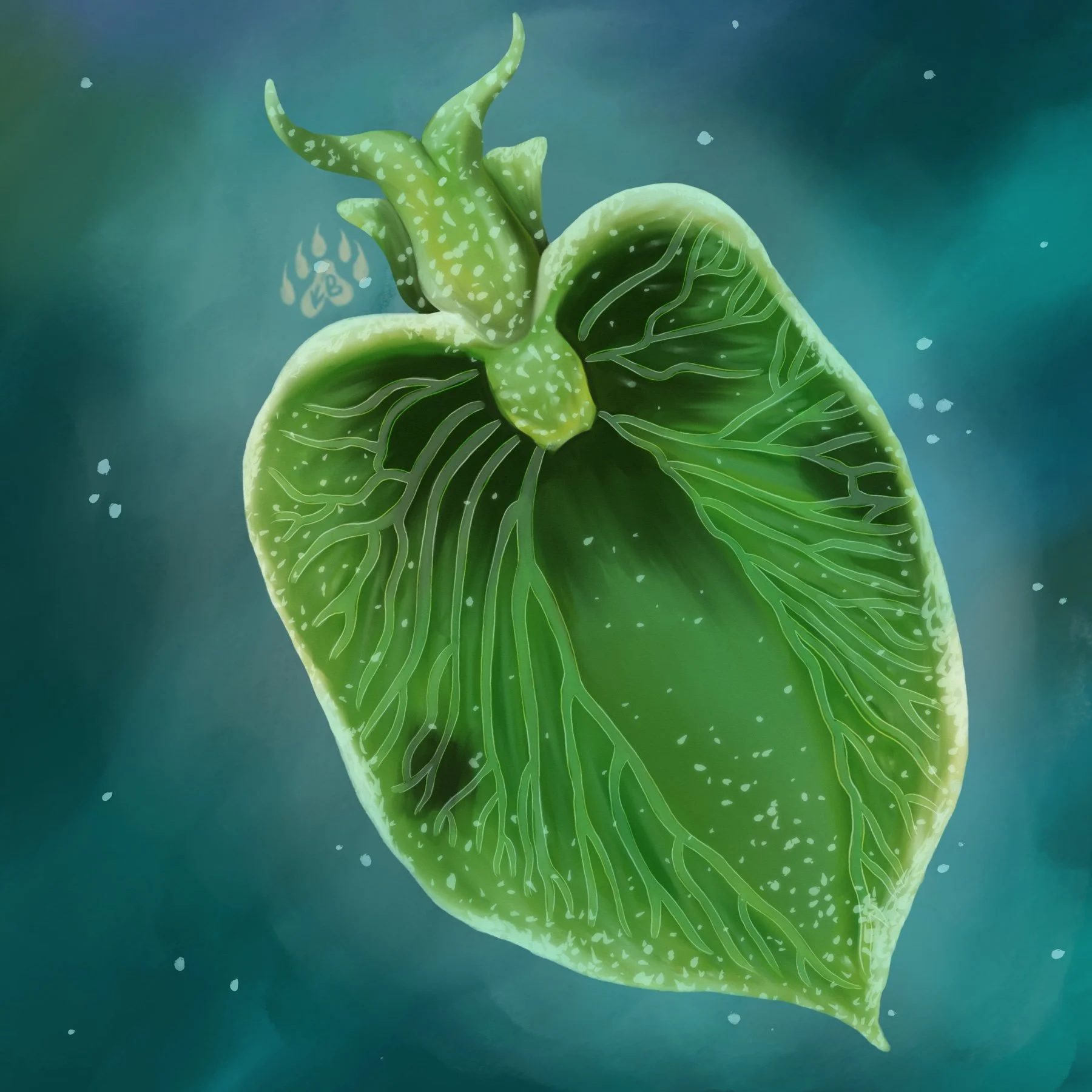 A digital illustration of a sea slug with intricate vein patterns, floating in a blue-green background with small white specks.