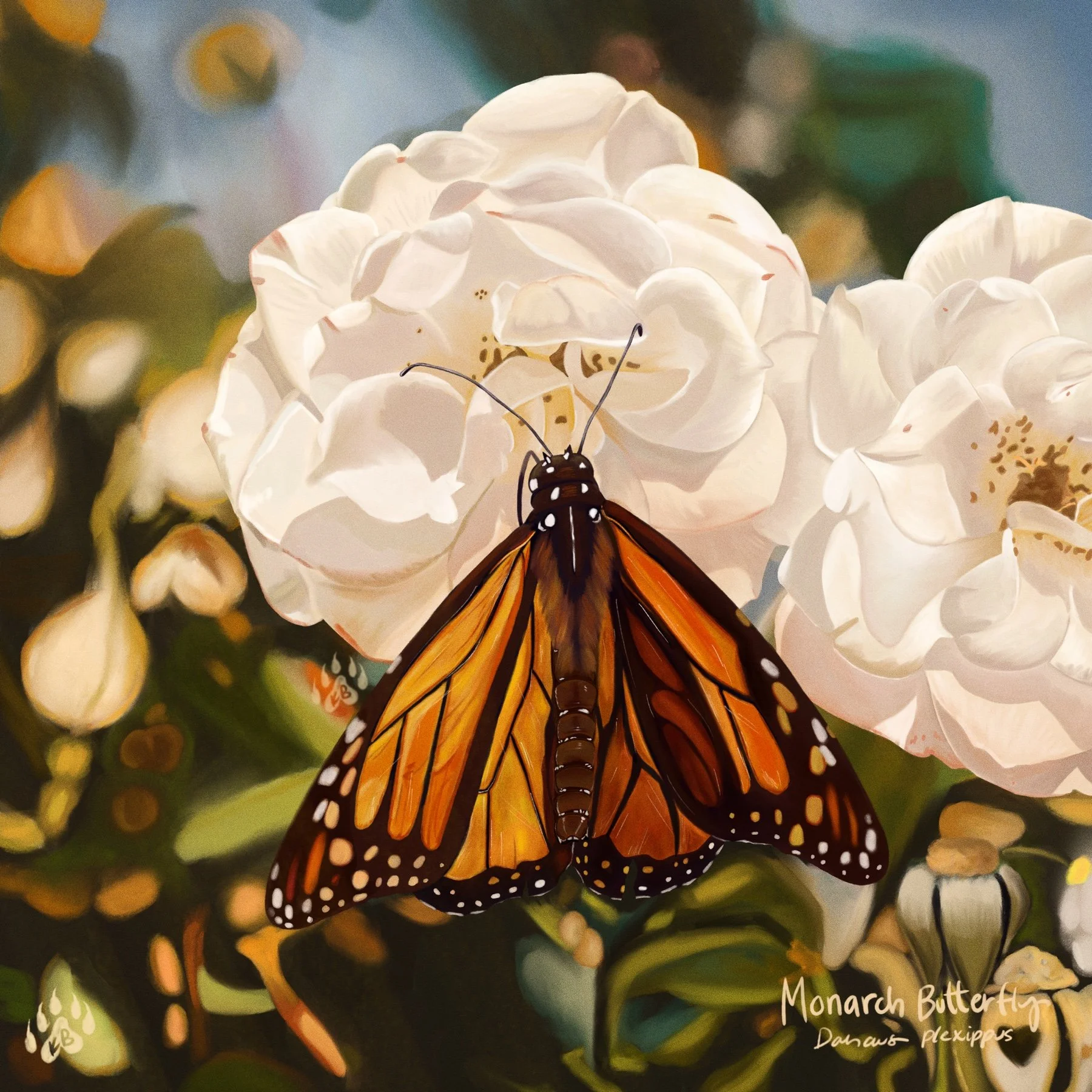 A Monarch butterfly perched on a light-colored flower, with green and blurred flowers in the background.
