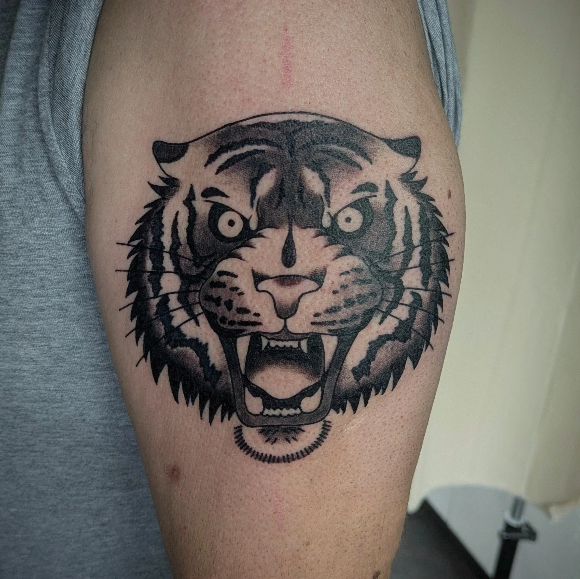 IMG_6909.jpeg