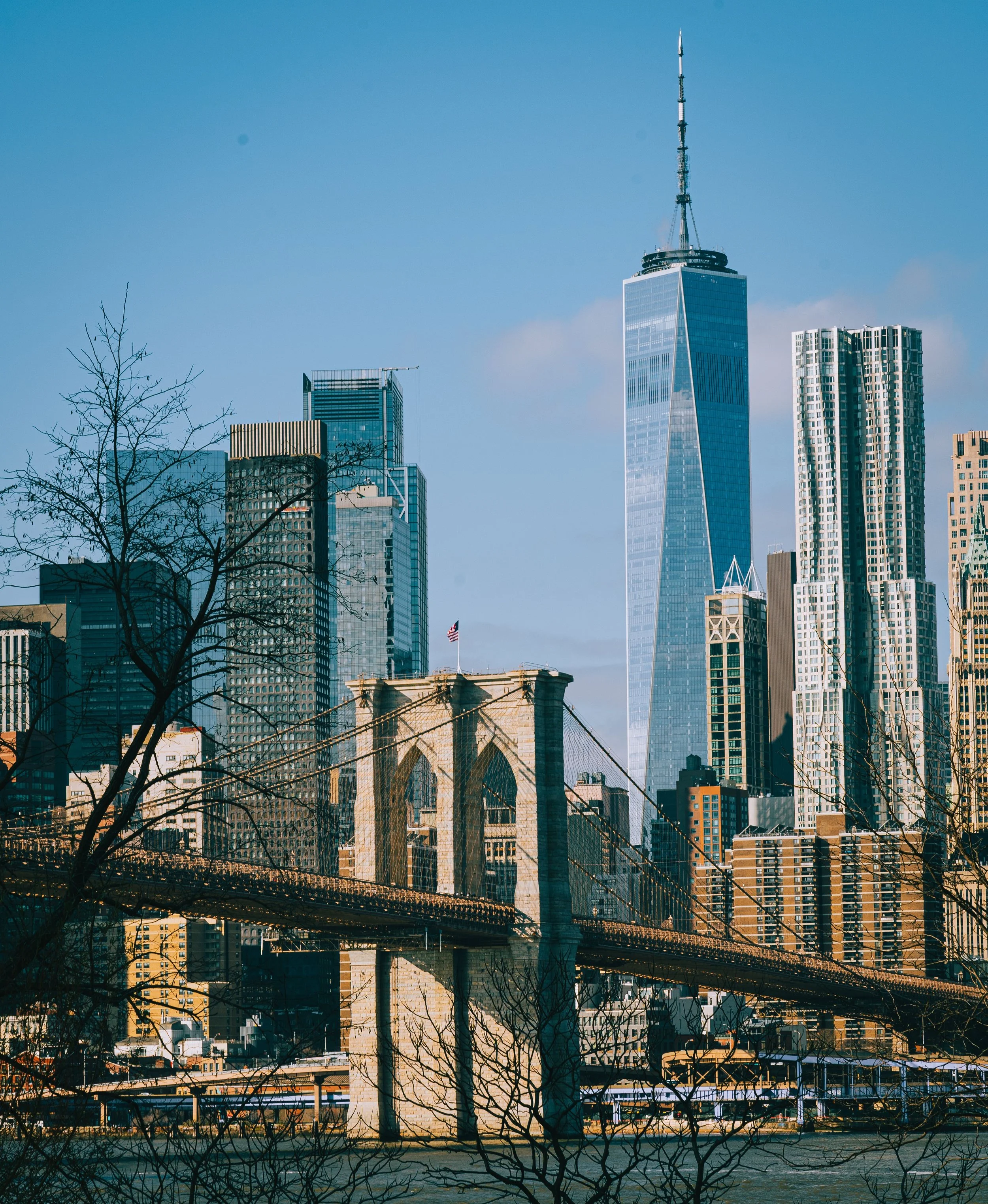 View of the New York City skyline including One World Trade Center and Brooklyn Bridge with leafless trees in the foreground.