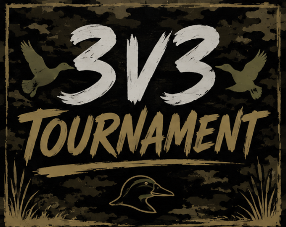 Sign for a 3v3 tournament with birds and a duck illustration.