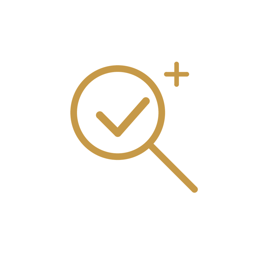 Gold magnifying glass with a check mark inside and a plus sign, representing quality assurance or positive search results.