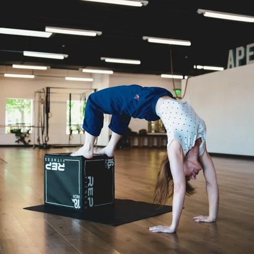Leah-Woods_Contemporary-Movement-Arts_Acrobatics-Workshop_500px.jpg