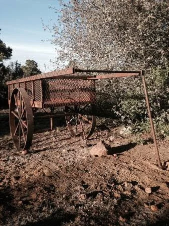 Handmade custom metal wagon, Full Spectrum Artworks Phoenix