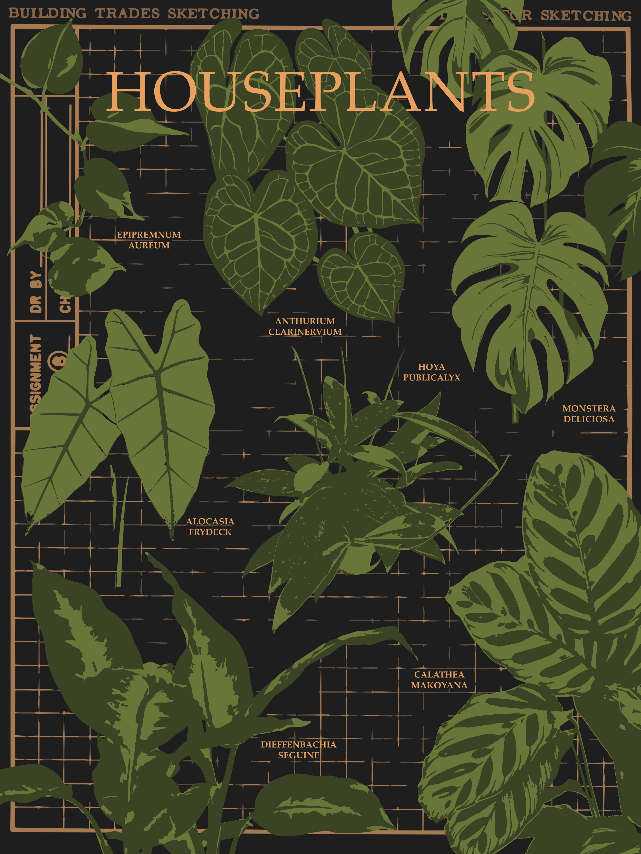 Houseplants - Digital Poster
