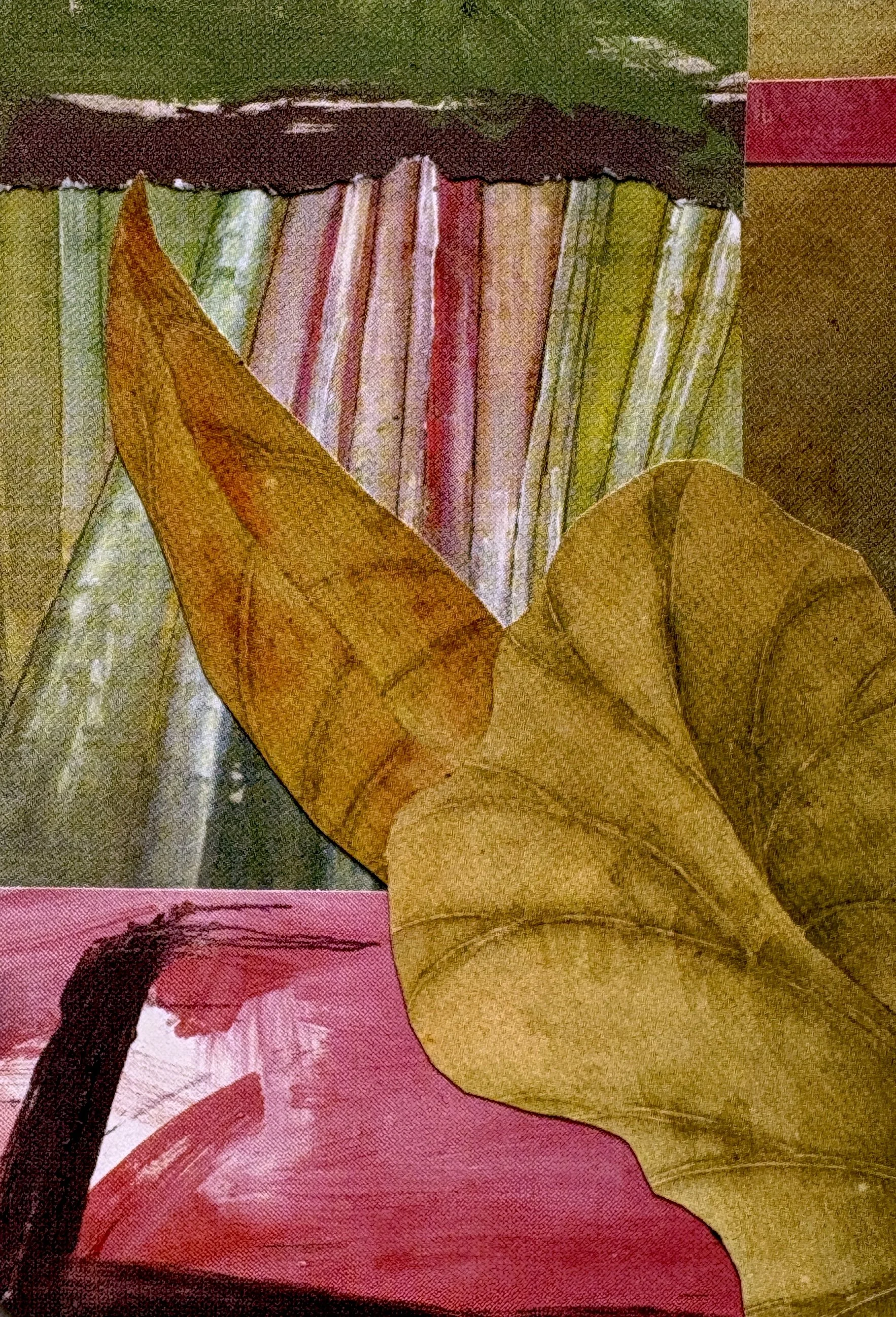 ACEO-1008-Chlorophyll.JPG