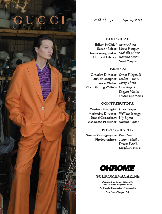 Chrome2.png