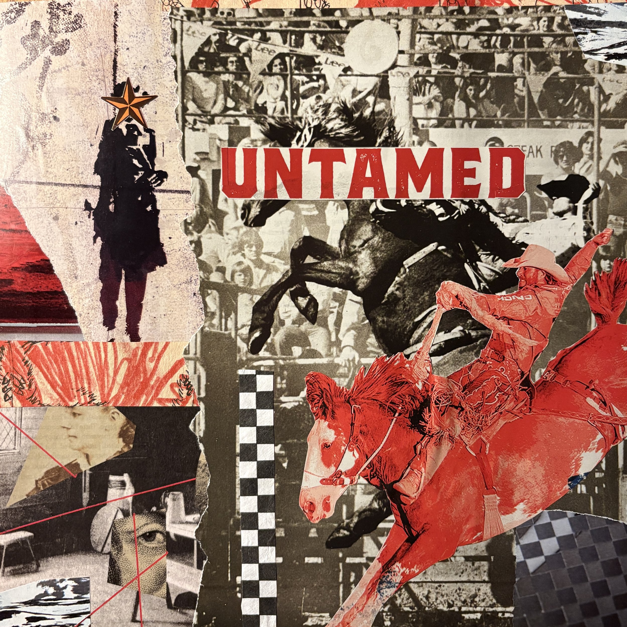 Untamed 14x14"