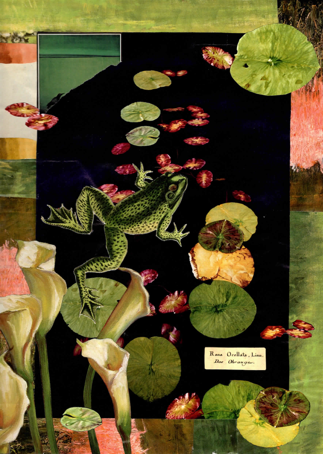 Tadpole Dreams 11x17"