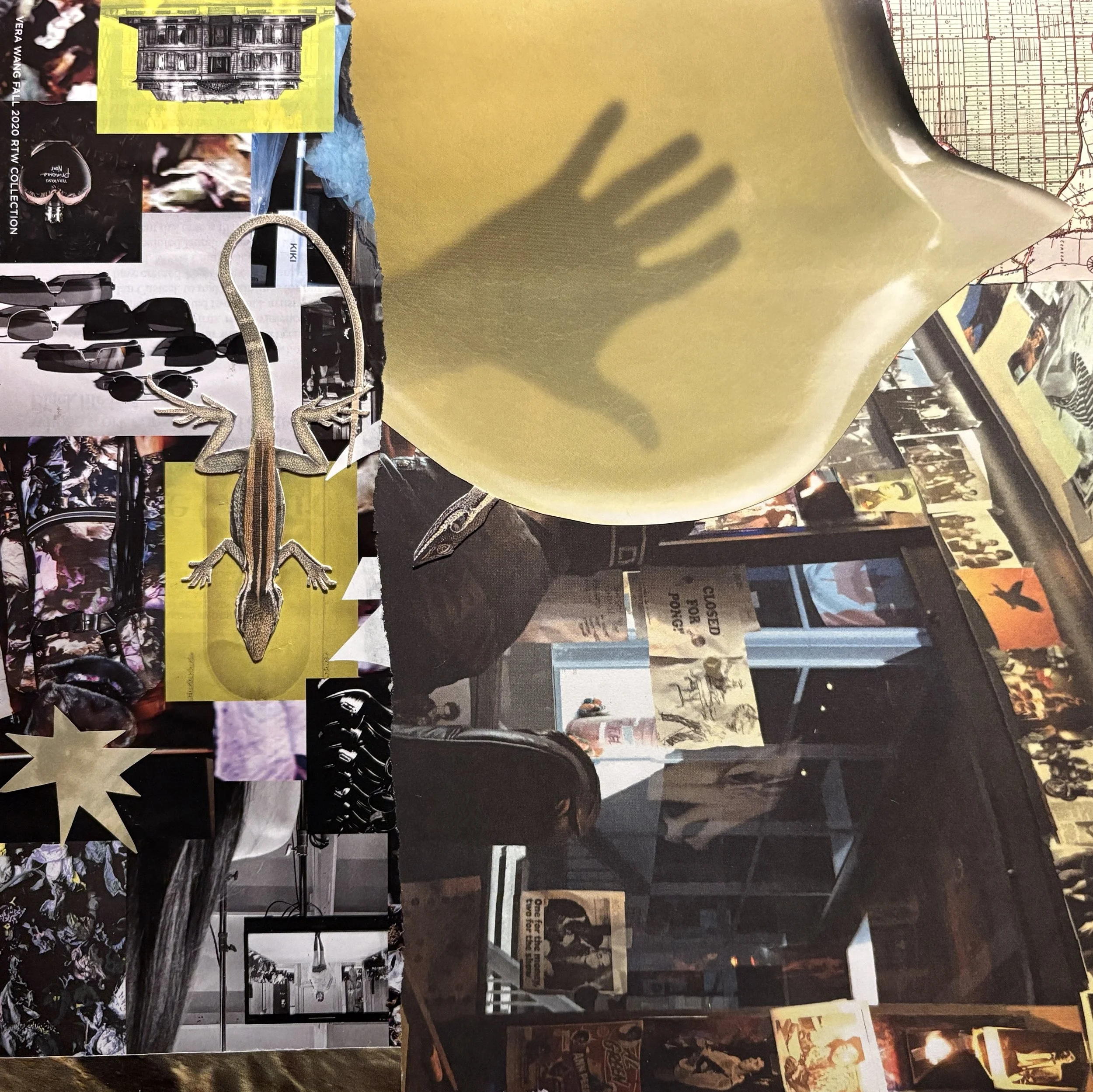 Lizard Room - Magazine Collage