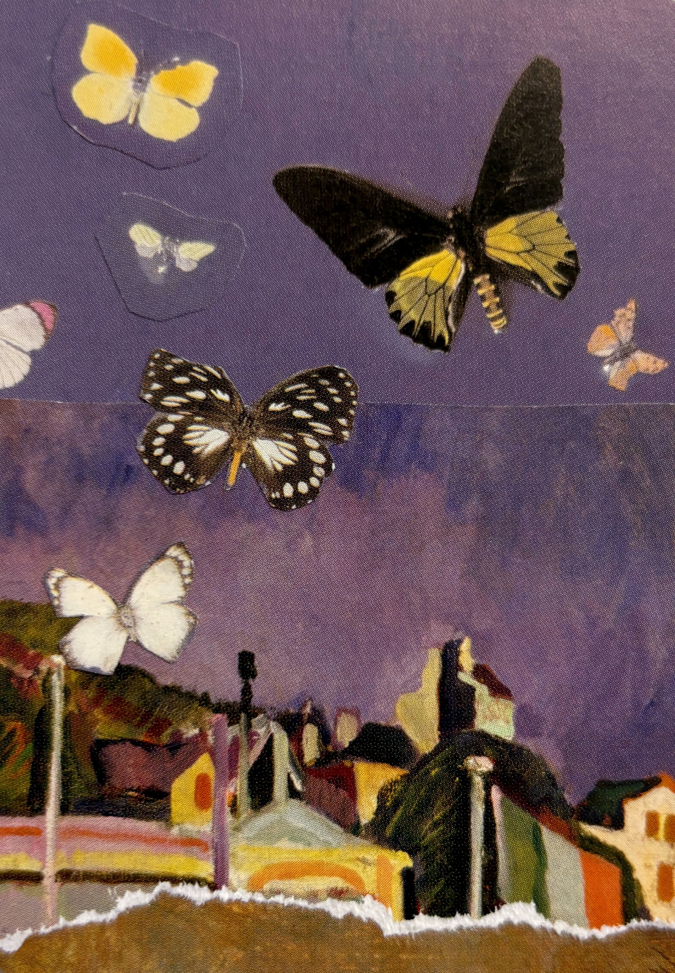 ACEO-1005-Papillon.JPG