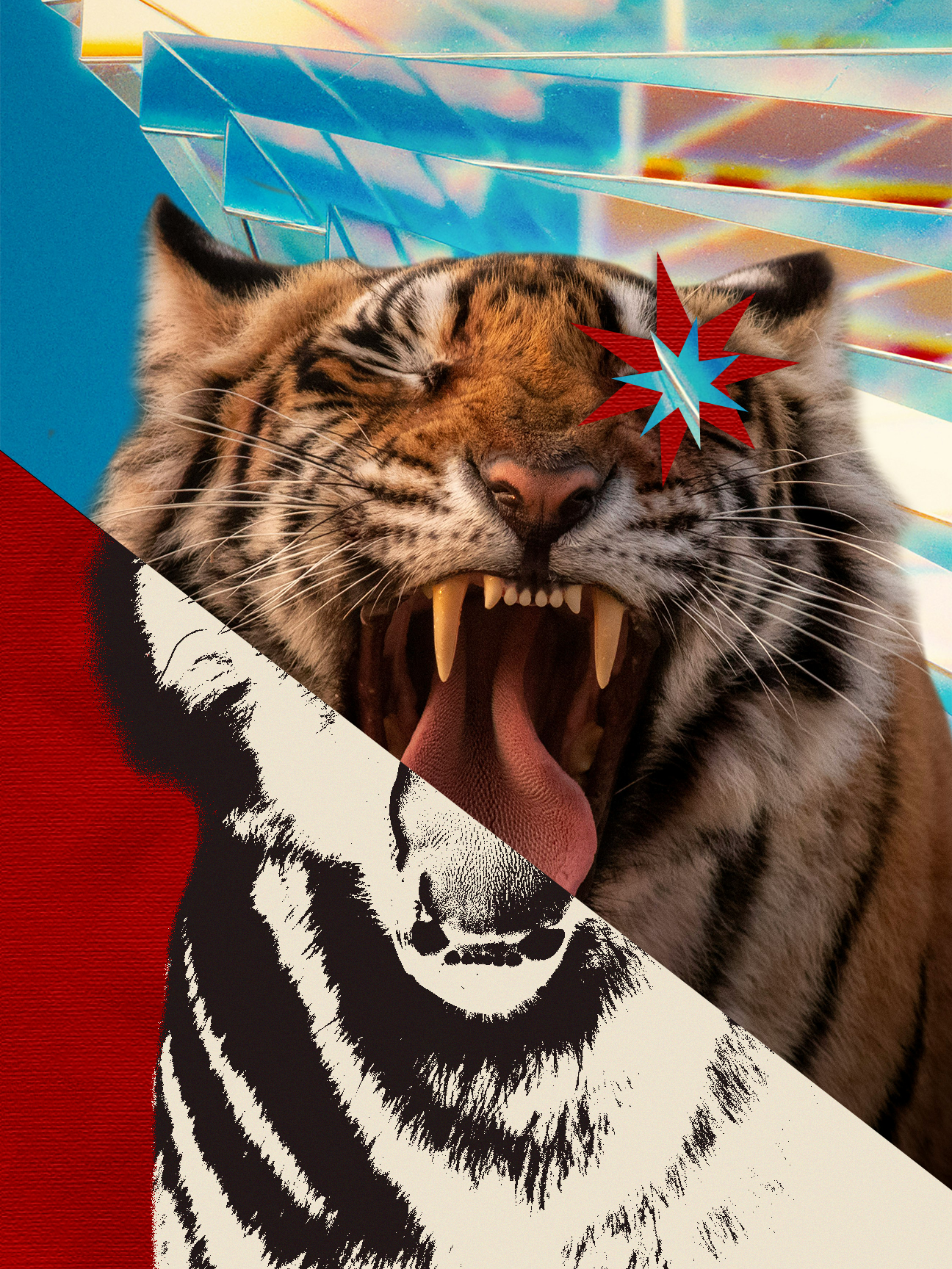 Cool Cat - Digital Collage