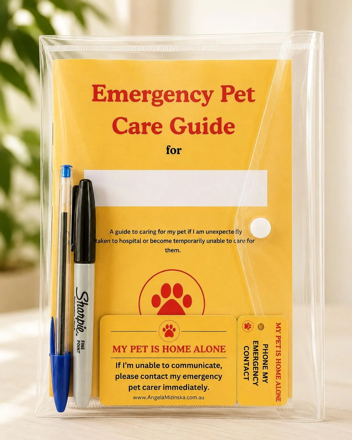 Emergency Pet Care Kit
