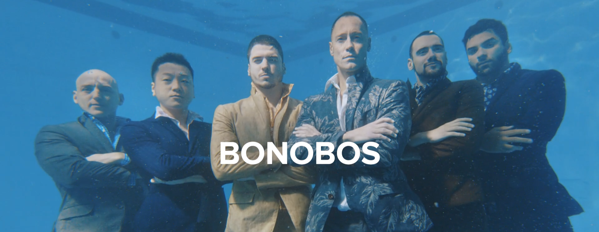 Bonobos