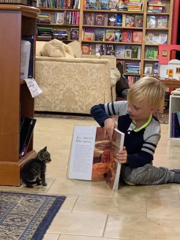 Boy reading to kitten