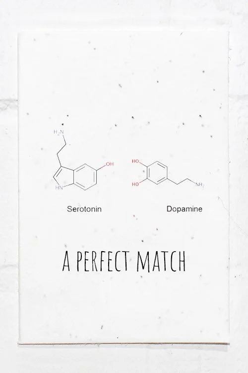 Perfect Match .jpg