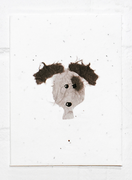 Dog .jpg