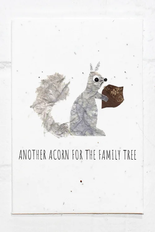 Squirrel Baby.jpg