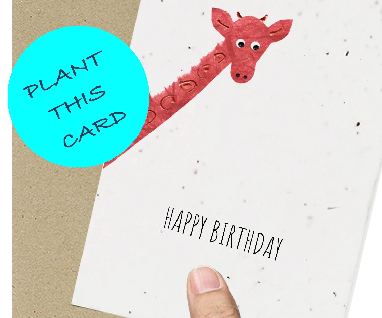 Giraffe Birthday.jpg