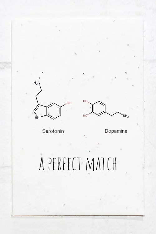 new perfect Match.jpg