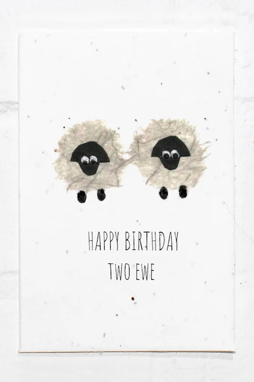 Sheep Birthday.jpg