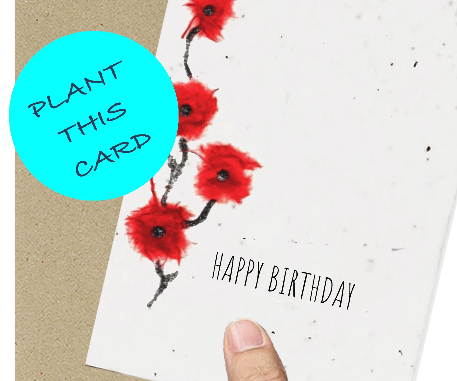 poppies Birthday.jpg