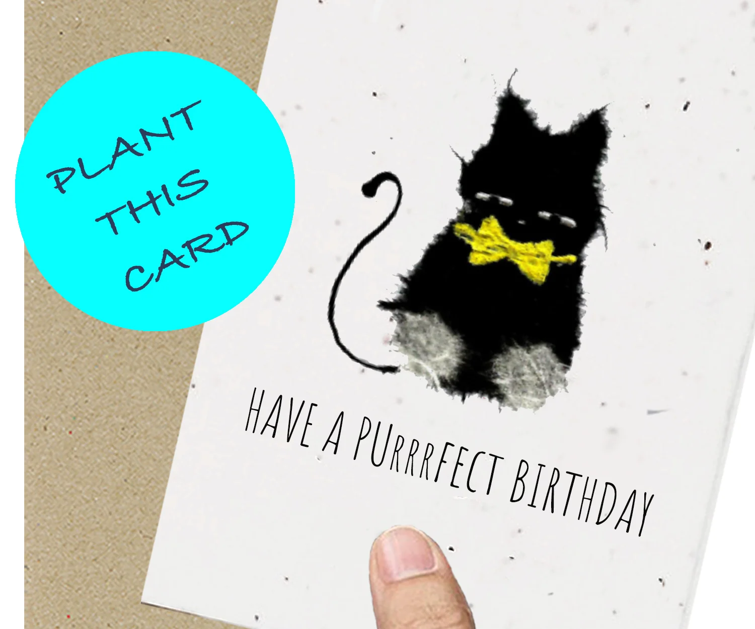 Cat Birthday.jpg