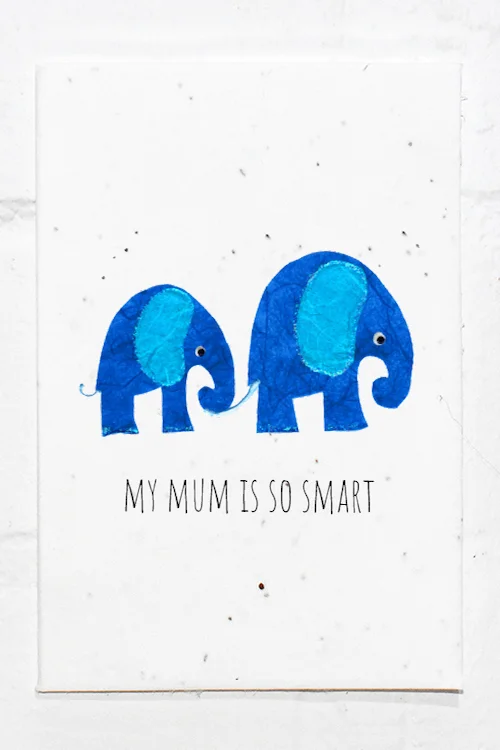 Elephant Mum.jpg