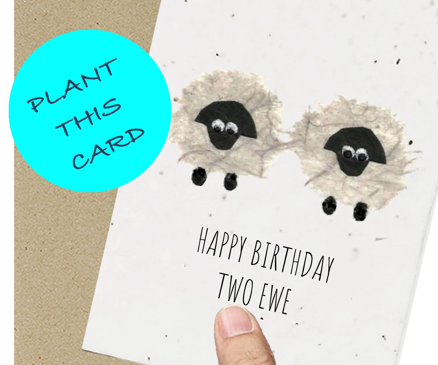 SHEEP BIRTHDAY.jpg