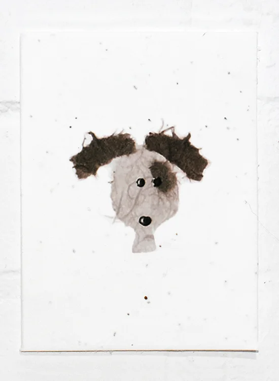 Dog .jpg