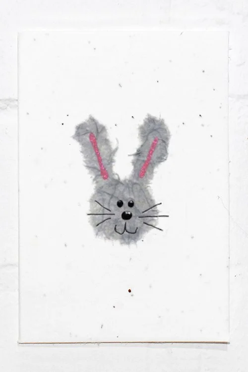 Bunny.jpg