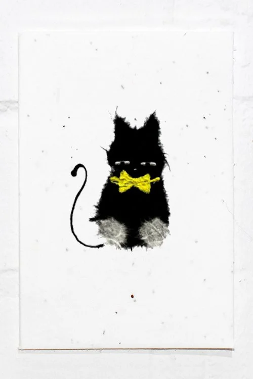 Cat+.jpg