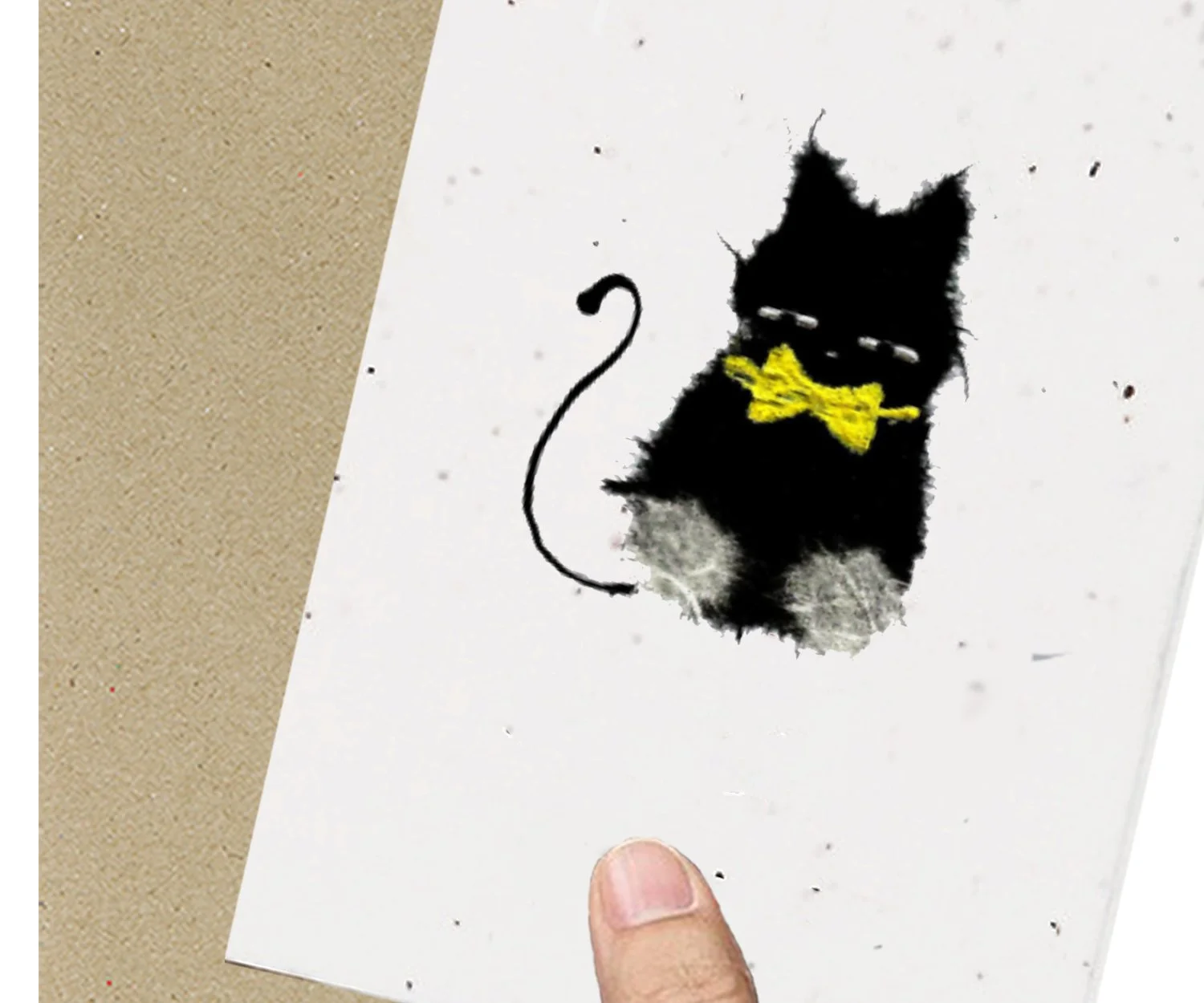 Cat+.jpg