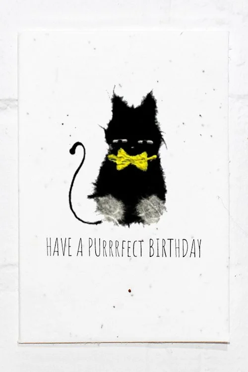 Cat+Birthday.jpg